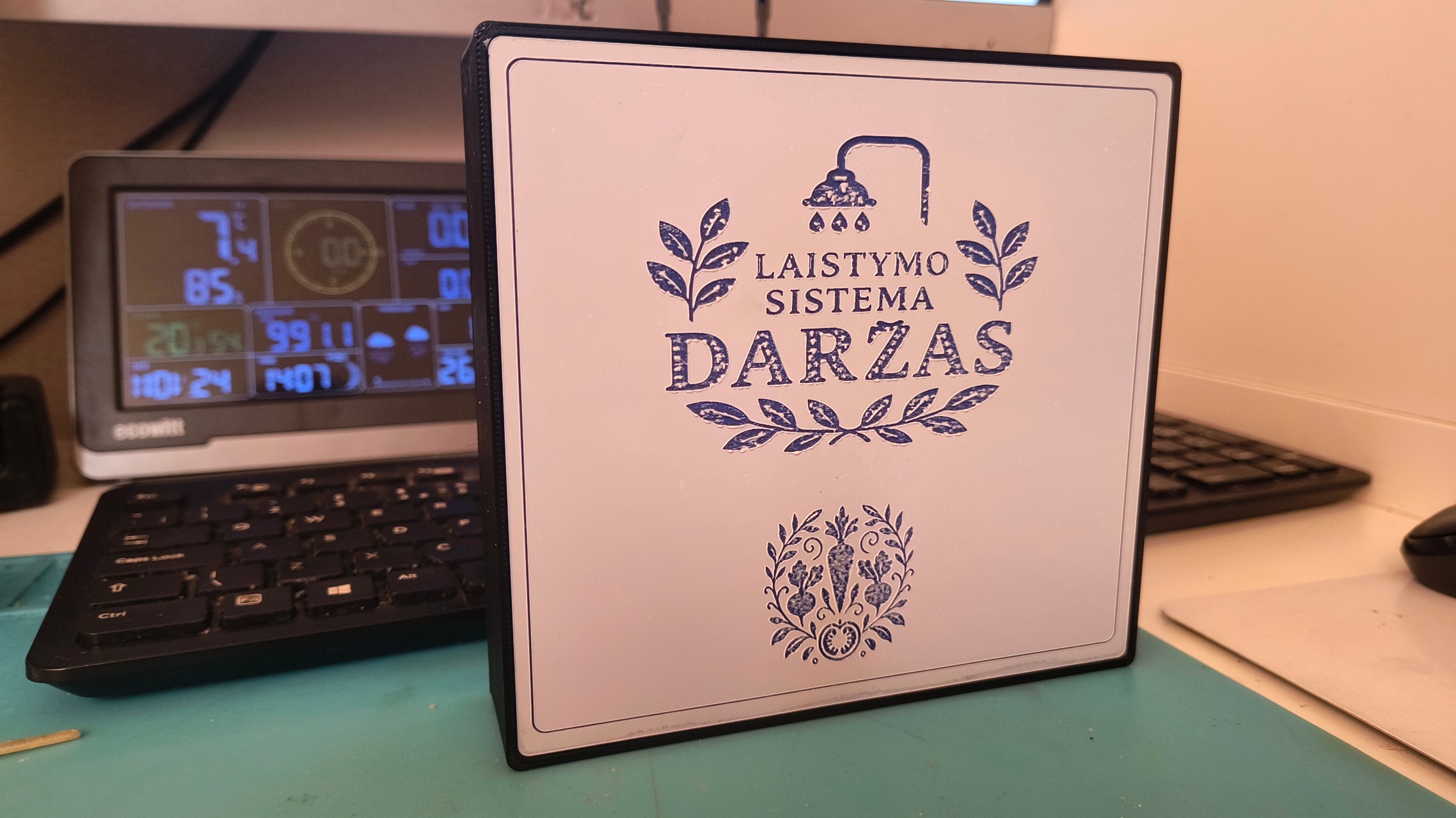 Laistymo sistemos dėžutė